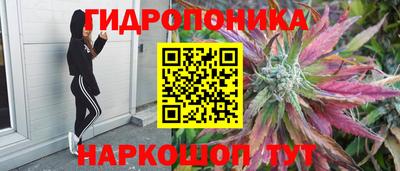 a pvp Белореченск